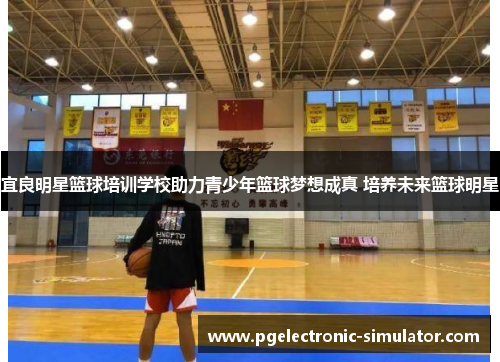 宜良明星篮球培训学校助力青少年篮球梦想成真 培养未来篮球明星